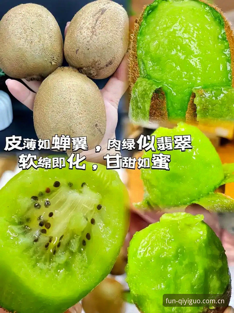 奇异果娱乐安全吗对比 奇异果体育 vs 传统平台:哪家更安全?全面对比分析